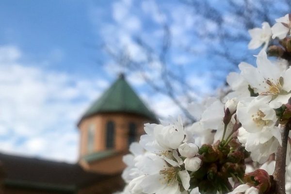 St. Gregory of Narek Church